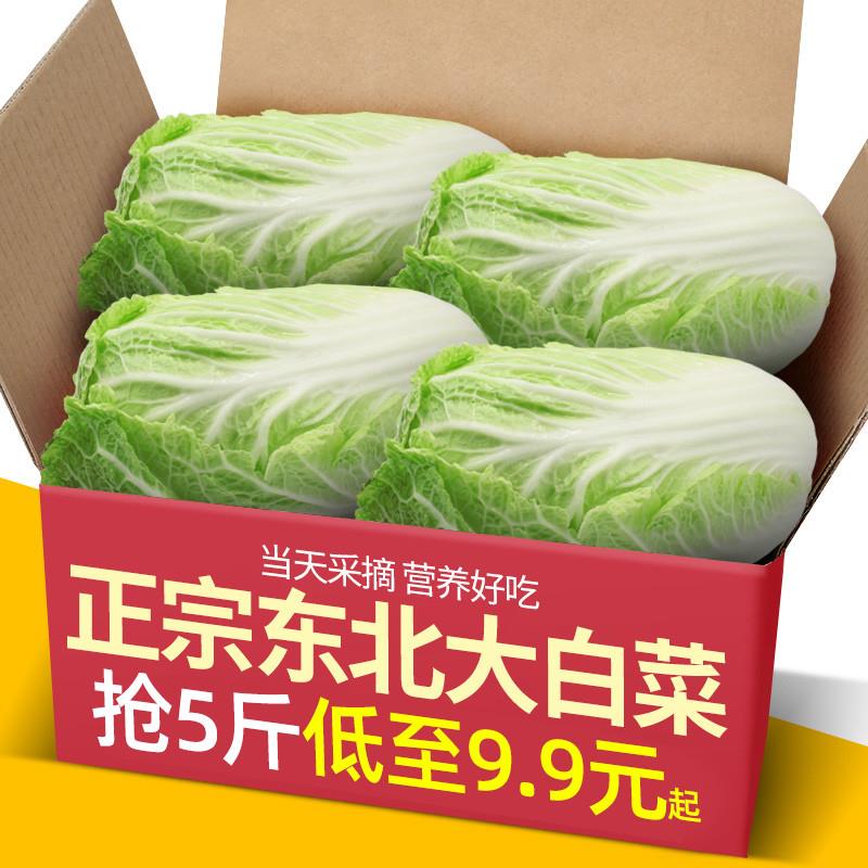 东北农家翡翠大白菜5斤新鲜蔬菜大白菜火锅蔬菜农家自种胶东包邮