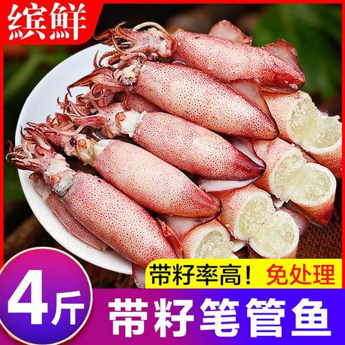 海兔子满籽墨鱼仔新鲜海兔鲜活带籽笔管鱼大乌贼籽乌鱿鱼海鲜水产