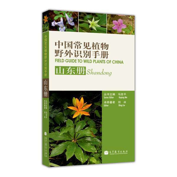 【官方正版】中国常见植物野外识别手册——山东册 刘冰 高等教育出版社 白屈菜 月见草 蕨类植物 木本植物 草本植物 藤本植物