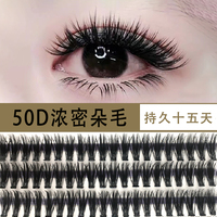 韩系50D自嫁接假睫毛女单簇分段式朵毛浓密柔软自然水貂毛易上手