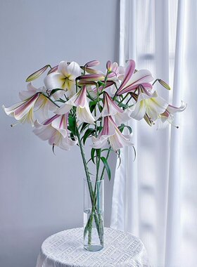 稀有高级小众东方月亮百合鲜切花西式美感送礼家用插花基地直发