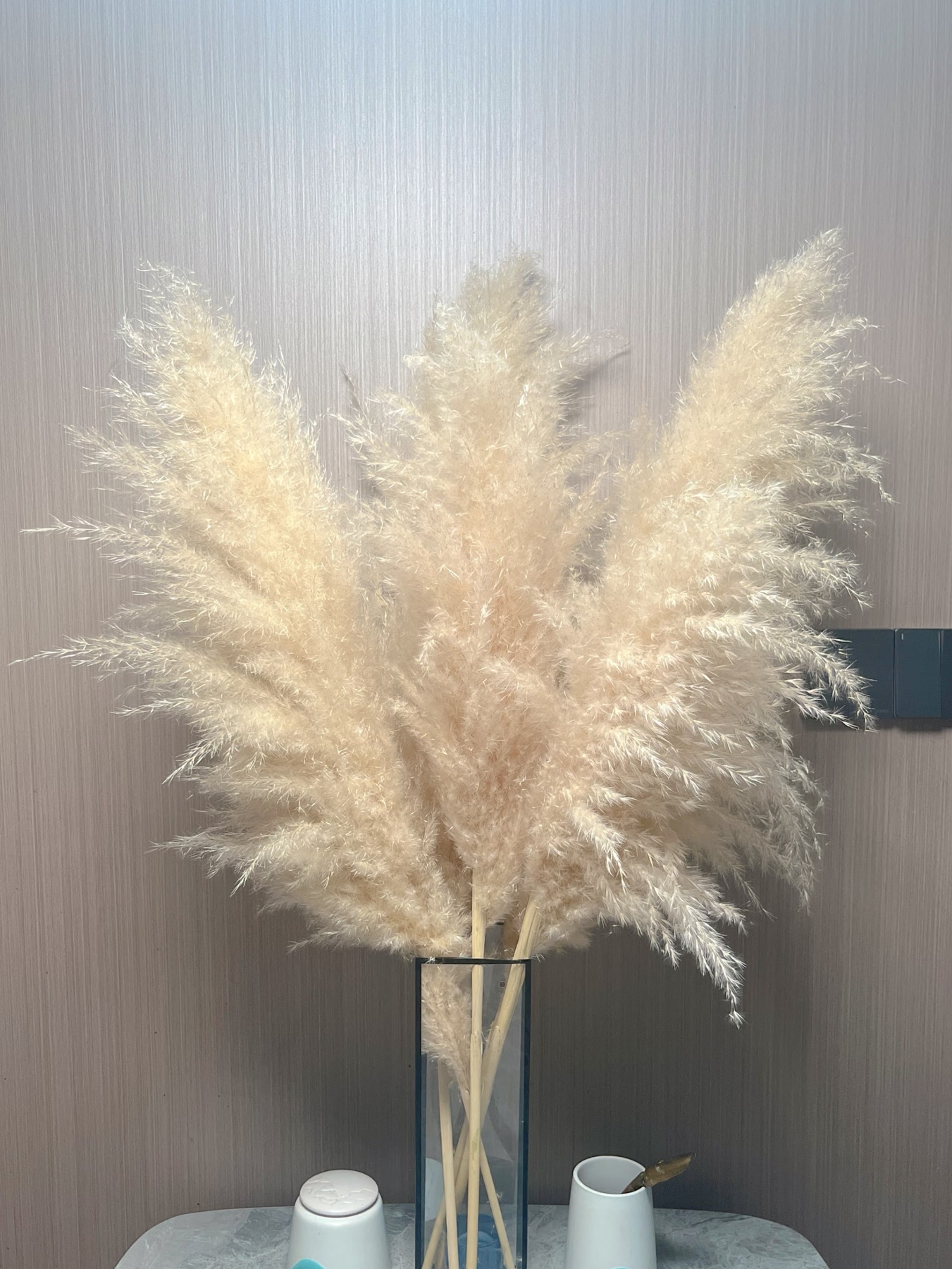 芦苇干花花束网红真花客厅摆设蒲苇大穗天然落地室内ins摆件仿真