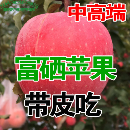 山东正宗冰糖心带皮吃包邮红富士