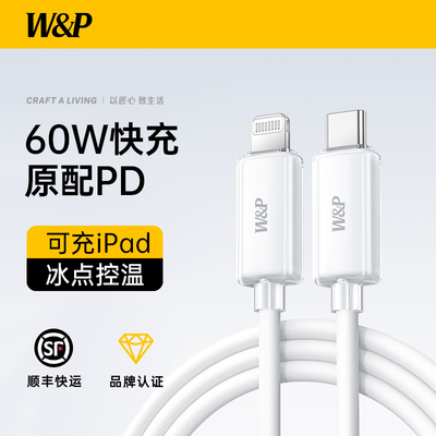 【品牌新款】60W冰透快充线