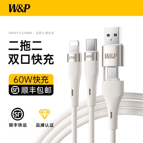 [W&P]60W二拖二液态充电线器