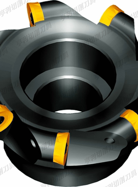 正品株洲面铣刀盘FMR02-063-A22-RC16-04 RCKT1606MO-DR