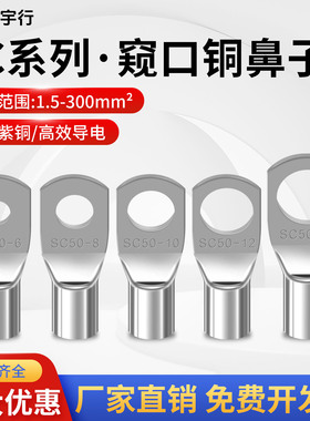SC10/6/4国标铜线鼻子SC16/25SC35平方-5/6/8/10线耳冷压接线端子