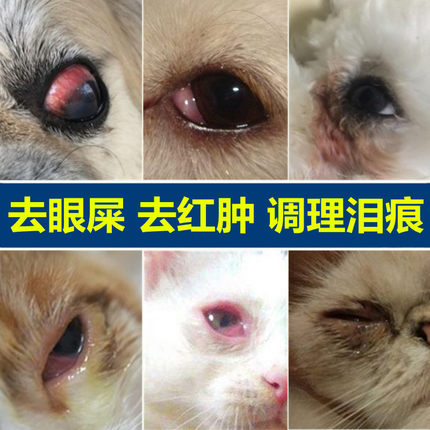 猫咪眼药水宠物消炎杀菌洗滴眼液狗眼睛结膜发炎狗去泪痕清洁用品