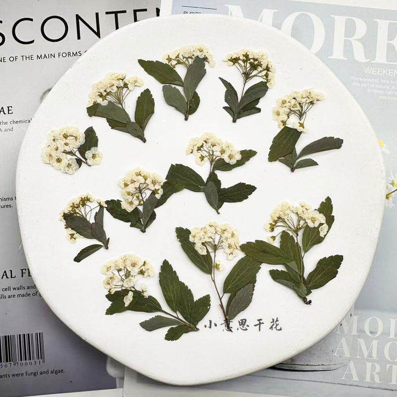 优惠干花diu滴胶花材小意思