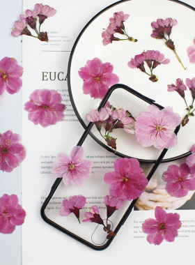 海棠花樱花 干花押花标本diy手工相框贴画时光宝石滴胶手机壳压花