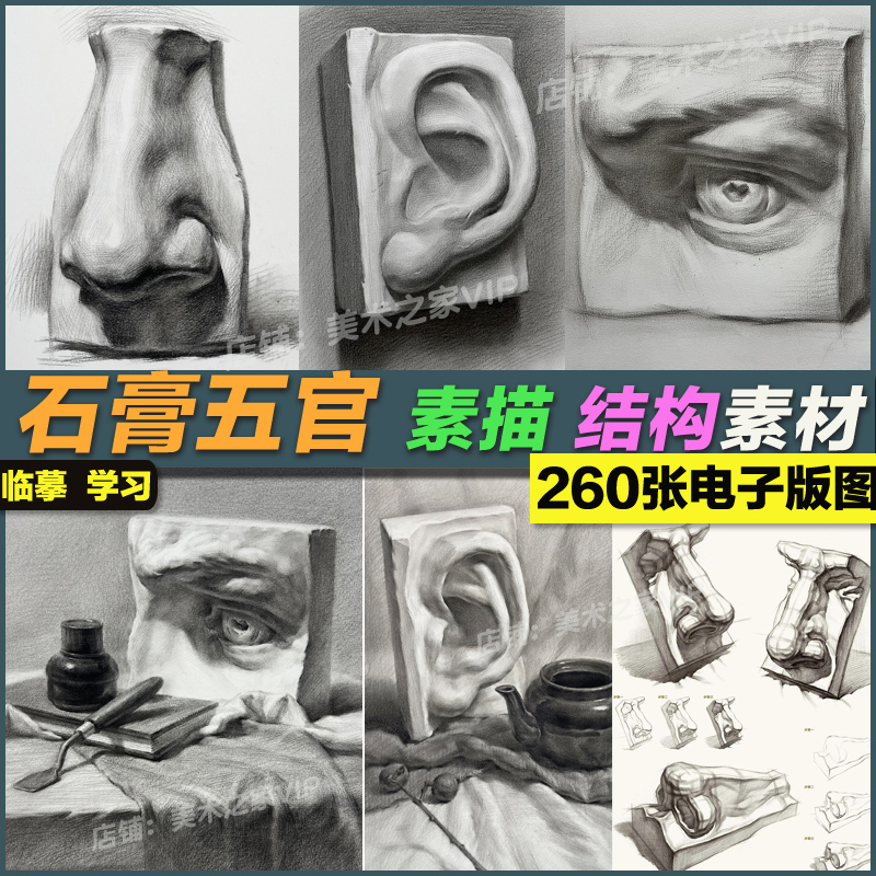 石膏五官耳朵鼻子眉毛嘴素描结构绘画美术生校考联考写实范画素材