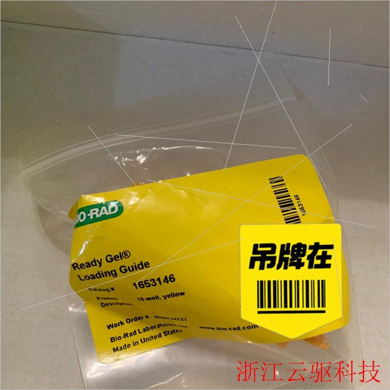 议价bio-rad上样引导装置,10孔loading gui