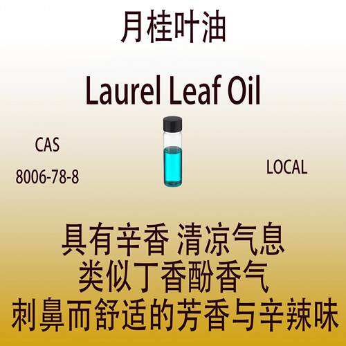 月桂叶油 Laurel Leaf Oil 辛香清凉气息调香师专用 日化香水香料