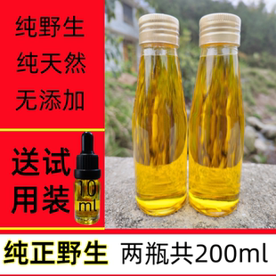 天然山茶油纯正农家自榨婴儿野茶籽油宝宝茶油护肤外用专用油茶树