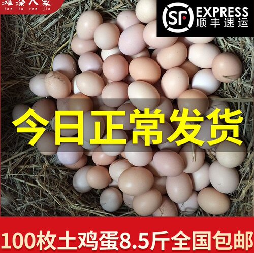 正宗草土鸡蛋新鲜100枚天然包邮