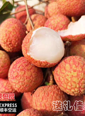 新鲜桂味荔枝现摘现发2500g
