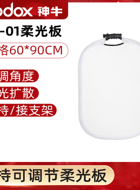 神牛DS-01可调节可折叠可手持柔光板60*90cm 搭配L座 灯架套装