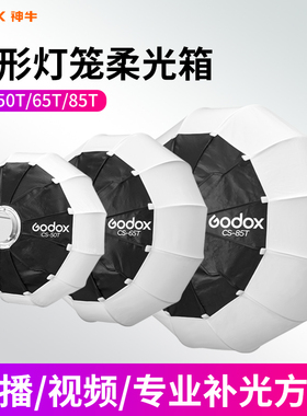 Godox神牛柔光罩CS-50T/65T/85T摄影灯直播灯罩球形灯笼柔光箱柔光球圆形保荣卡口快装小巧便携拍照补光灯