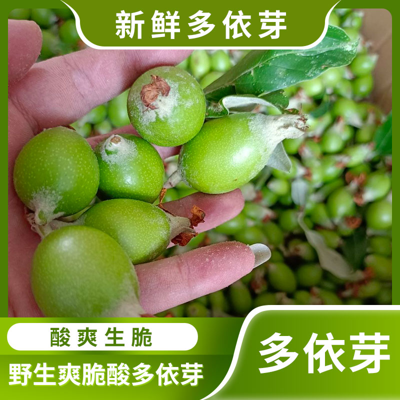 云南多依果临沧普洱澜沧民族地方特产野生酸渣子苹泡水果傣味孕妇