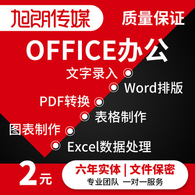 打字服务文字录入代做excel表格制作图表pdf转word排版PPT设计