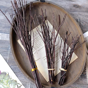 小树枝天然桦树干枝手工diy造景森系创意枯木果树拍摄原木小树杈