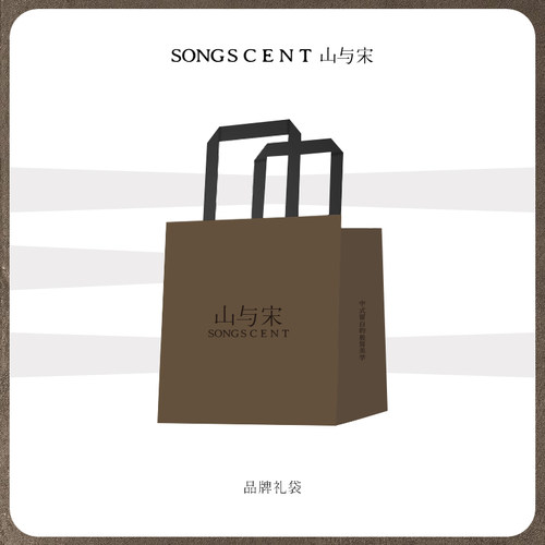 单拍不发货手提包装袋SONGSCENT