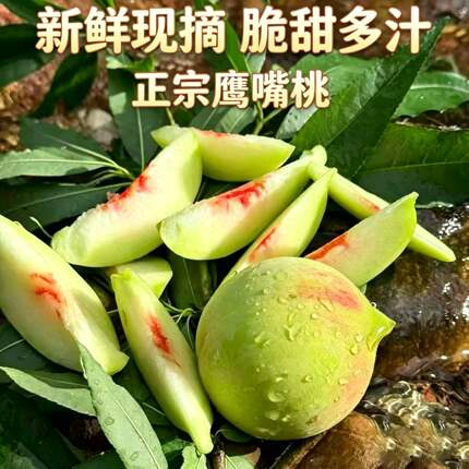 正宗赣南鹰嘴桃新鲜现摘桃子9斤水蜜桃甜脆桃大果非广东河源连平
