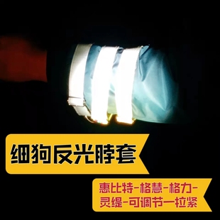 大中小细狗反光脖套一拉紧惠比特犬格惠串格力犬灵缇项圈发光可调