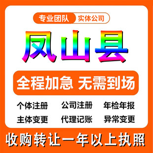 河池凤山县公司注册个体工商户注销法人变更执照记帐解除异常