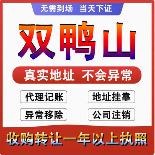 双鸭山尖山宝山集贤宝清公司个体户注册代账变更注销营业执照减资
