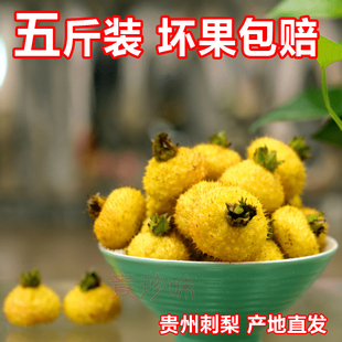 25年贵州野生鲜果刺梨 维C水果泡酒泡茶 现摘新鲜刺梨果2500克
