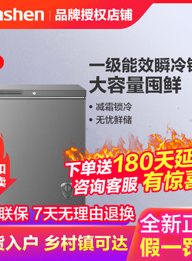 Ronshen/容声 BD/BC-300ZMSMA大容量冰柜冷柜一级以旧换新补贴