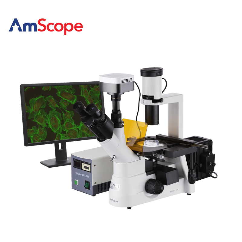 AmScope 40x-1000x EPI荧光倒置显微镜+ 500万像素CCD相机