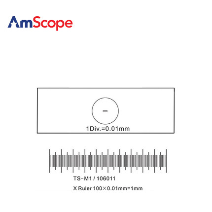 AmScope 用于USB相机0.01mm台式千分尺的显微镜载物台校准载玻片
