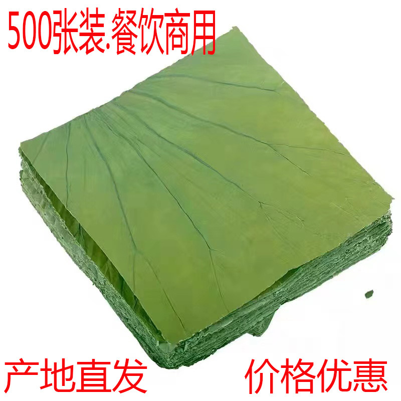 方形荷叶500张装餐饮商用绿色天然荷叶片批发包邮糯米鸡直销