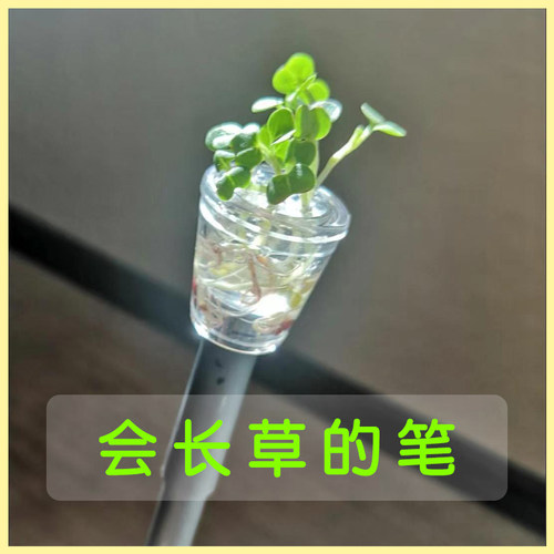 可以长草笔创意新品植物种子迷你