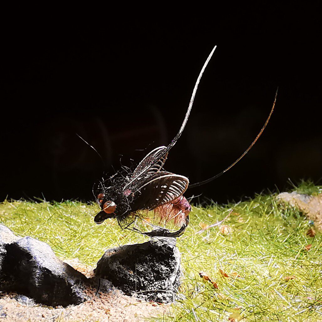 北京路亚飞蝇钩飞钓马口溪哥白条鳟鱼饵微物仿生饵华子