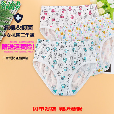4条装内衣少女中大童纯棉AB