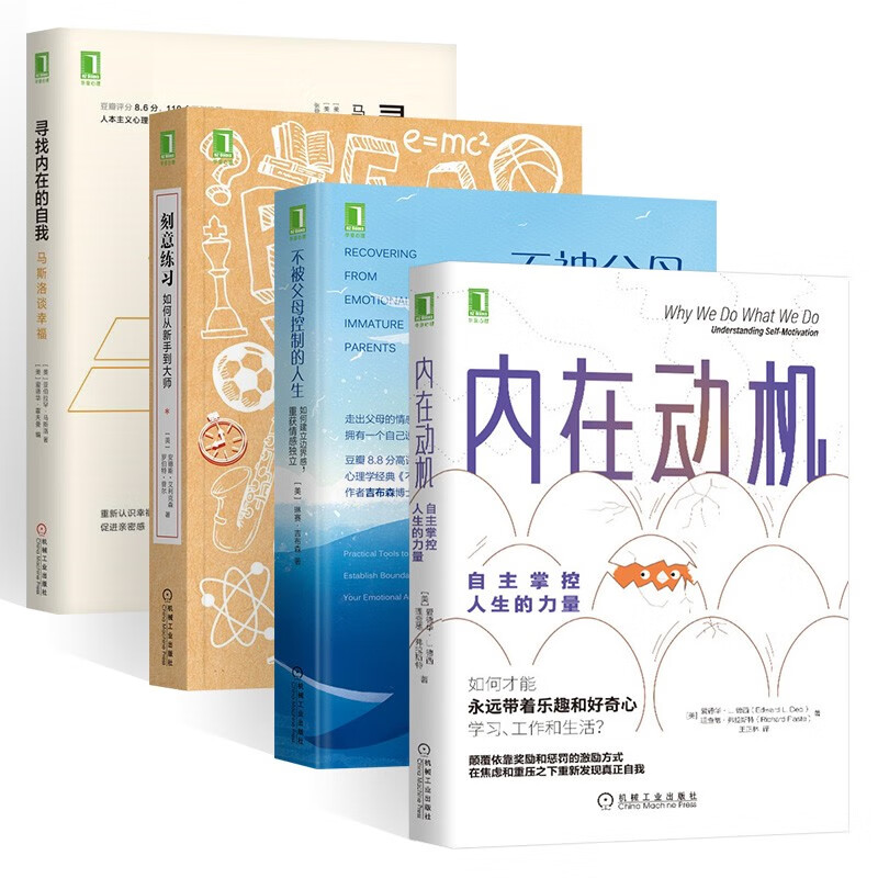 内在动机机械工业出版社