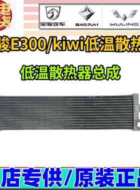 适配宝骏E300 kiwi 低温散热器  新kiwi原厂低温散热器总成