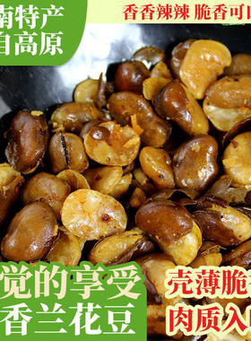 云南高原特产麻辣兰花豆滇王驿麻