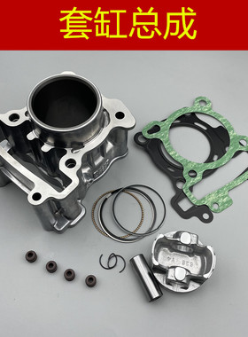 适用 台湾三叶雅马哈 FORCE155 SMAX155 领程175 套缸活塞环油封