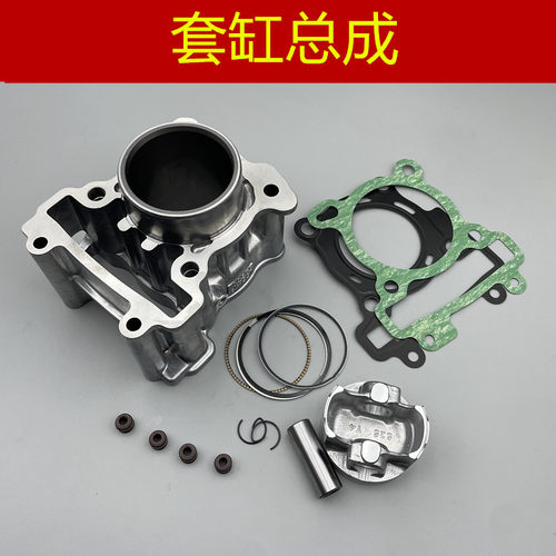 适用 台湾三叶雅马哈 FORCE155 SMAX155 领程175 套缸活塞环油封