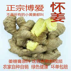 焦作博爱怀姜3/5斤新鲜姜生姜老姜土母姜小黄姜 姜糖膏原料月子姜