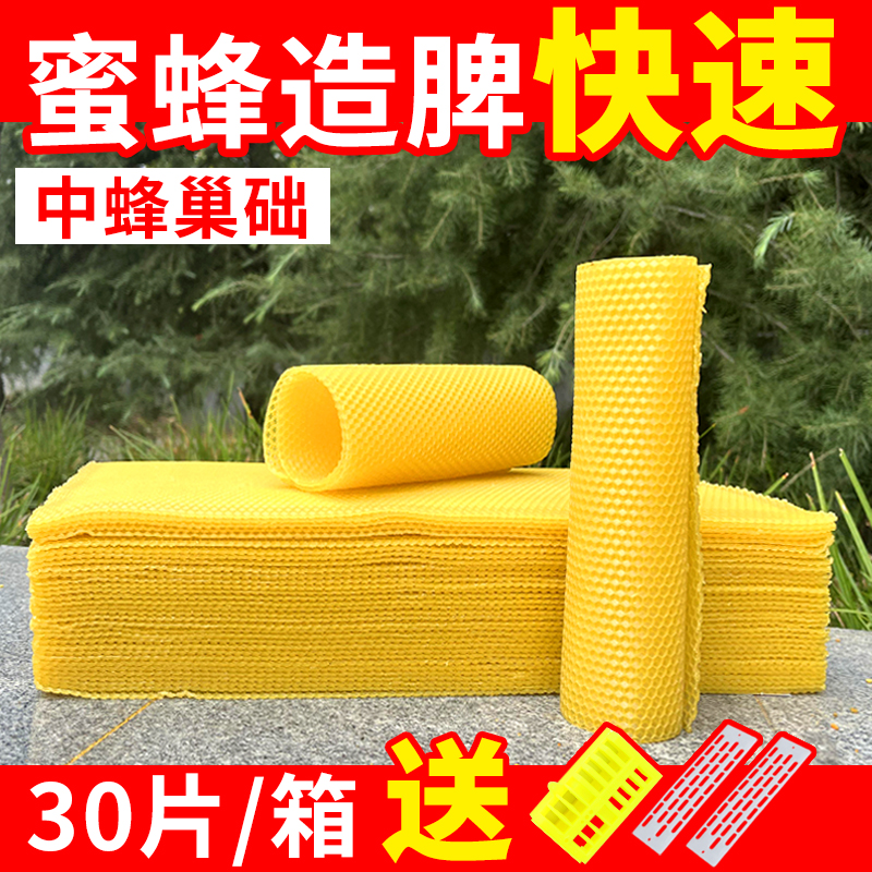 中蜂巢础天然蜜蜂巢基中蜂箱
