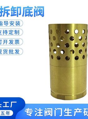 可拆卸铜底阀水泵底阀水底单向阀水泵莲蓬头dn25dn32dn40dn50