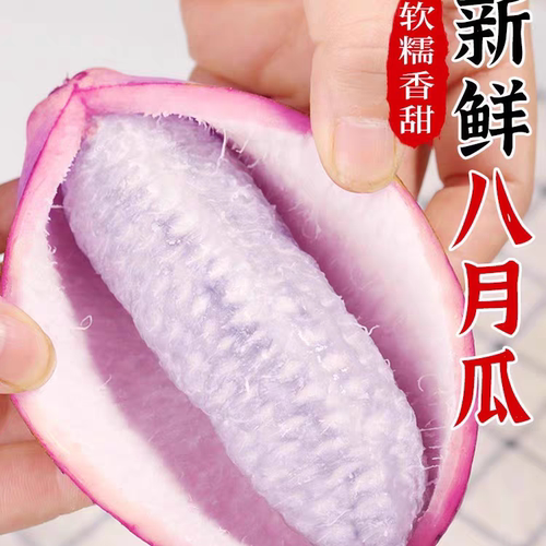 野生新鲜八月瓜水果现摘八月炸野果应当季特色罕见九月网红鲜果