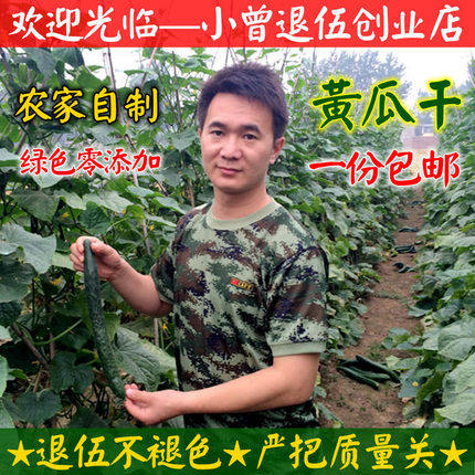 包邮干黄瓜片干500g 烘干黄瓜钱 农家干货干菜绿色土特产脱水蔬菜