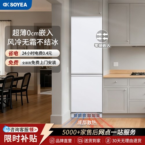 小户型超薄零嵌入式无霜变频冰箱