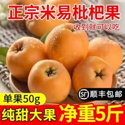 正宗四川米易枇杷当季特级鲜果新鲜水果